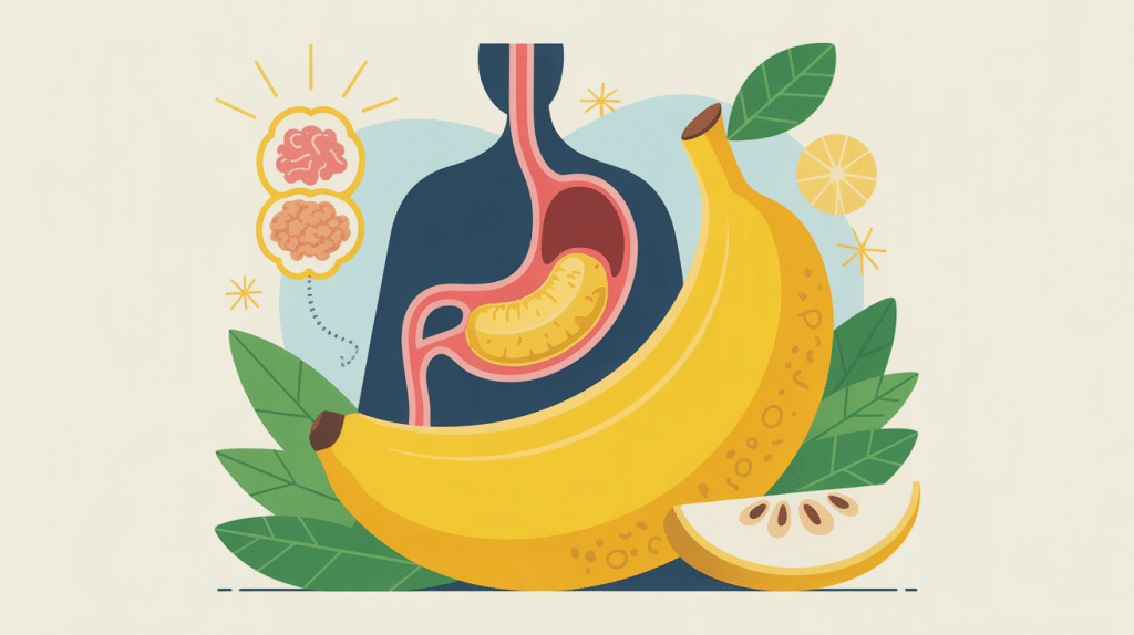illustration banane et calcul biliaire pour santé et digestion