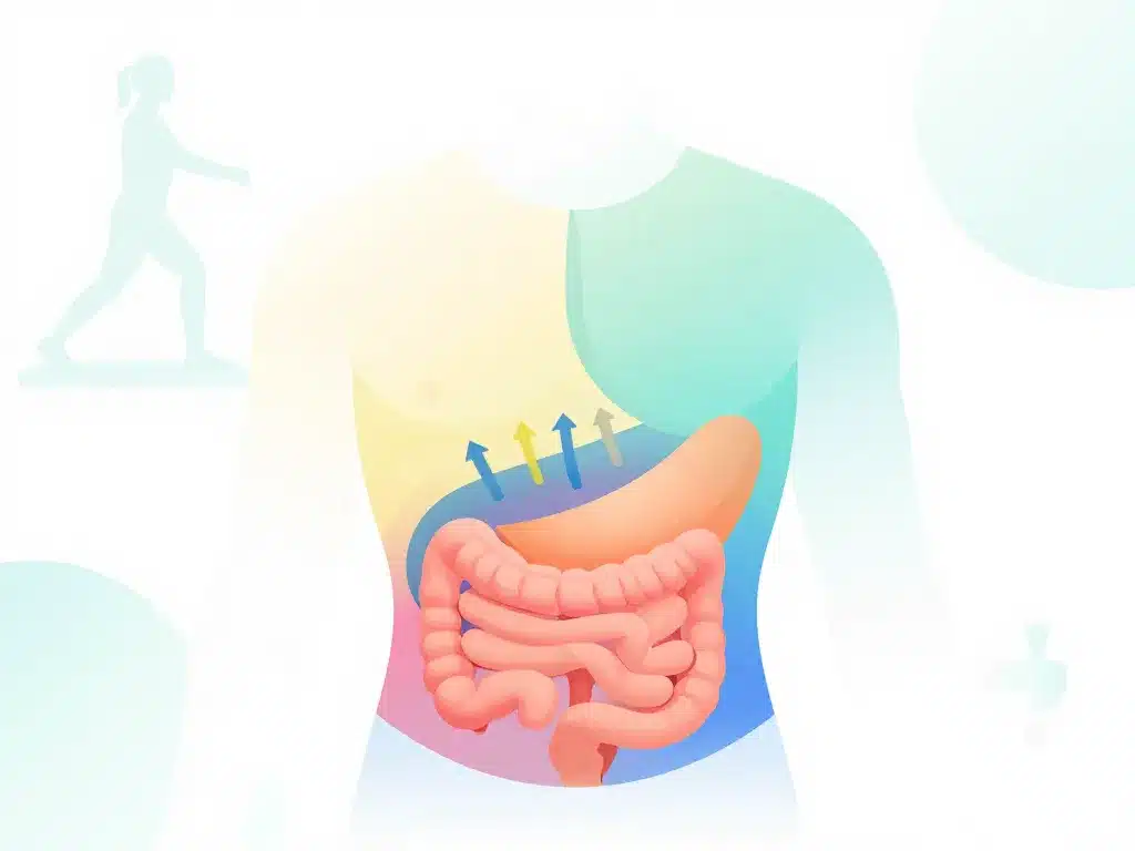 Schéma causes mal aux abdos apres sport